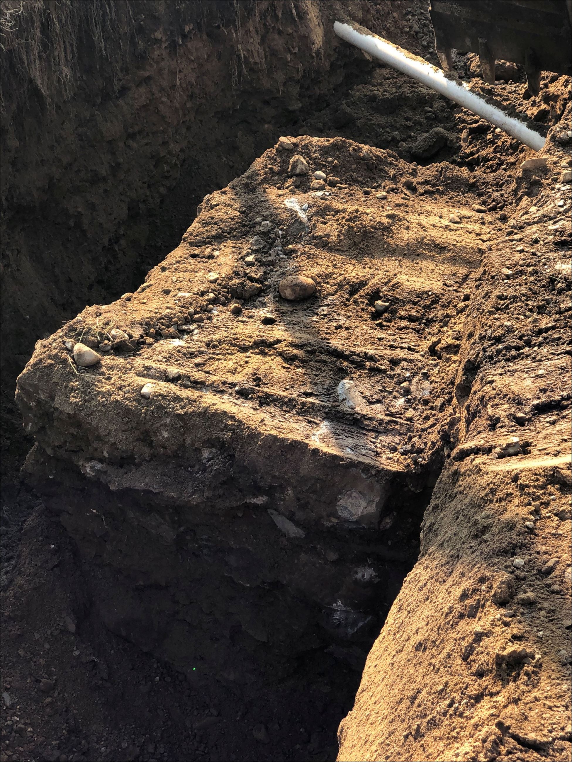 Canon foundation 2 Wayne Martin